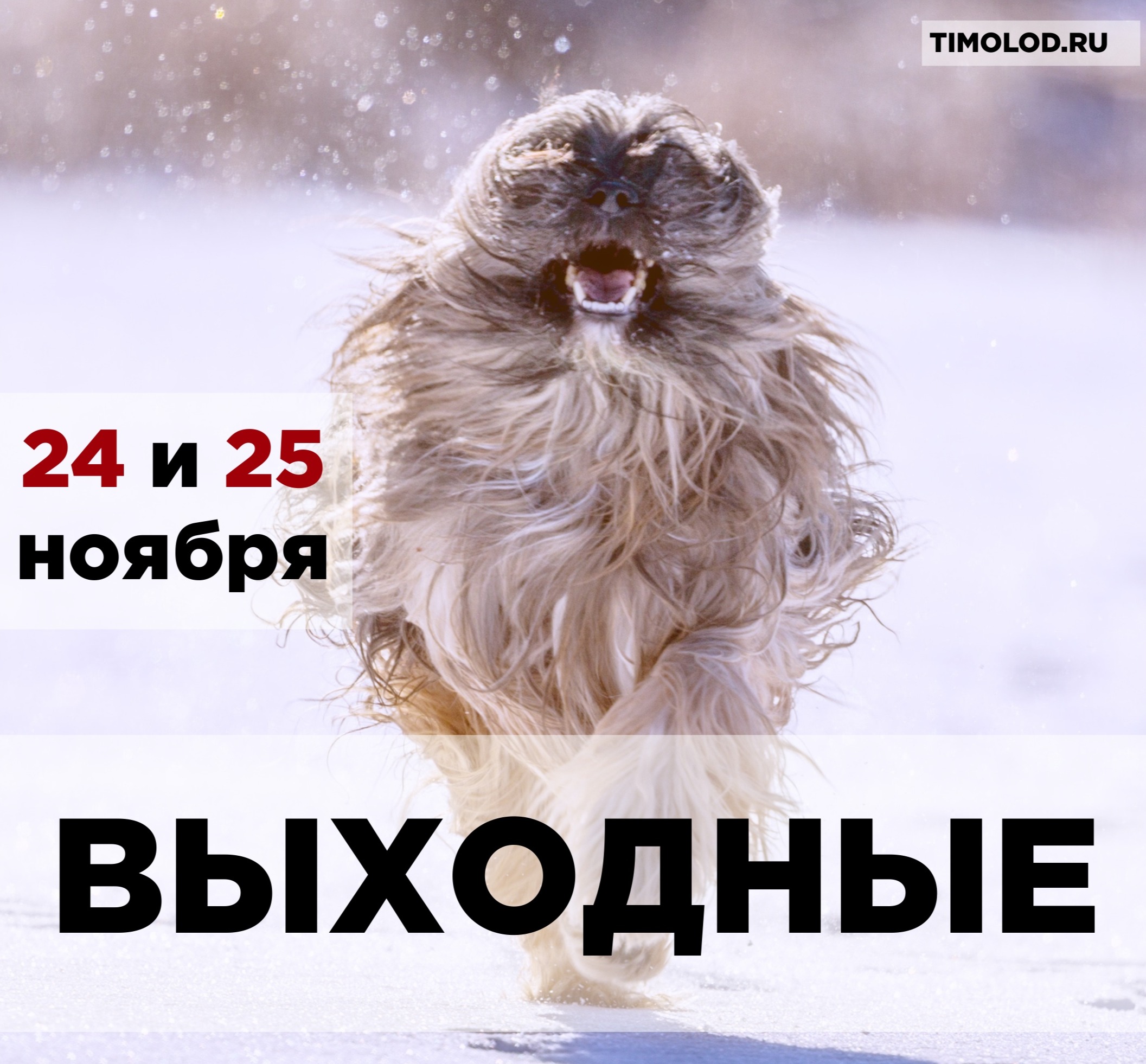 Выходные 24. Выходные 24 г