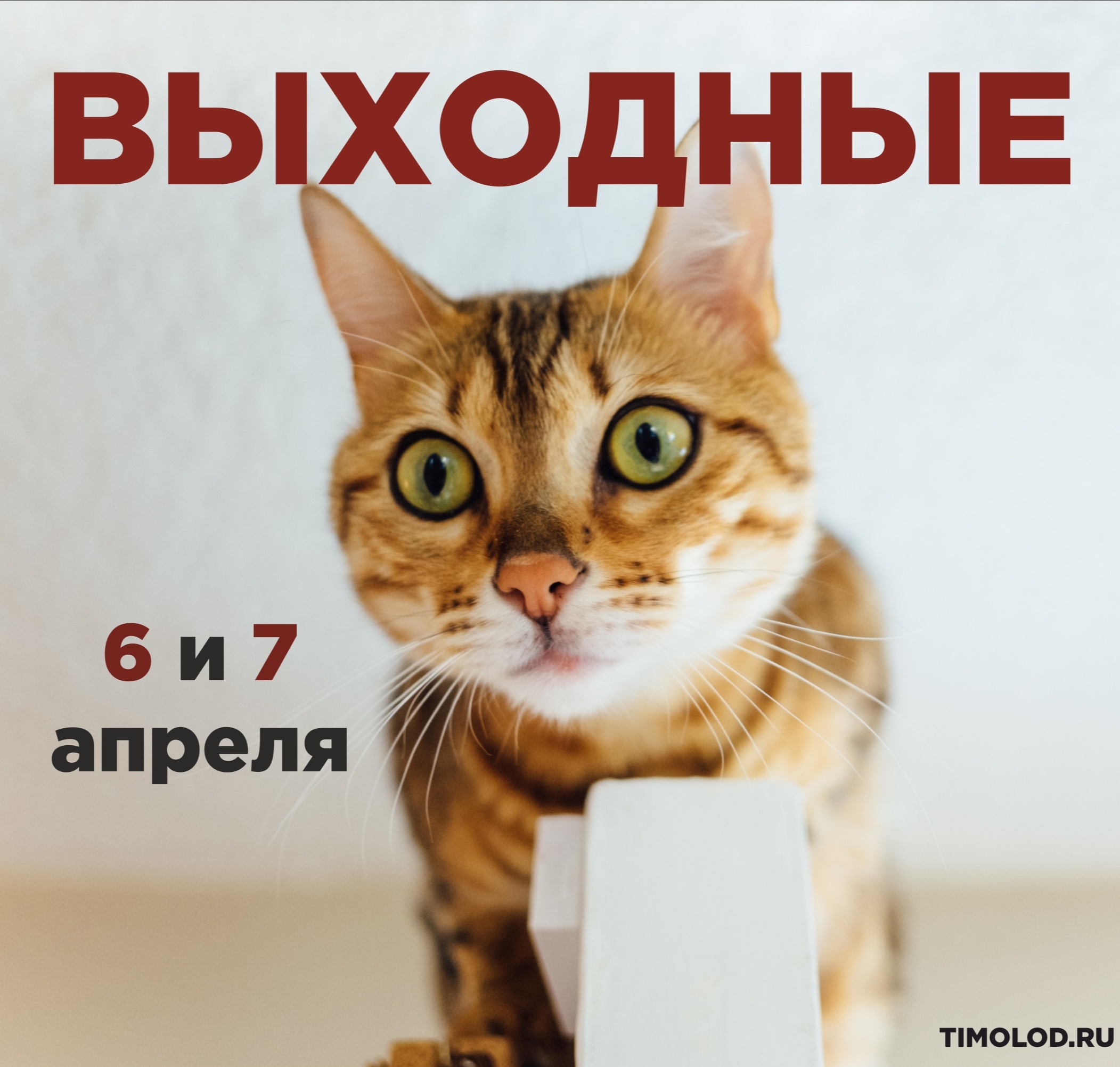 6 выходной