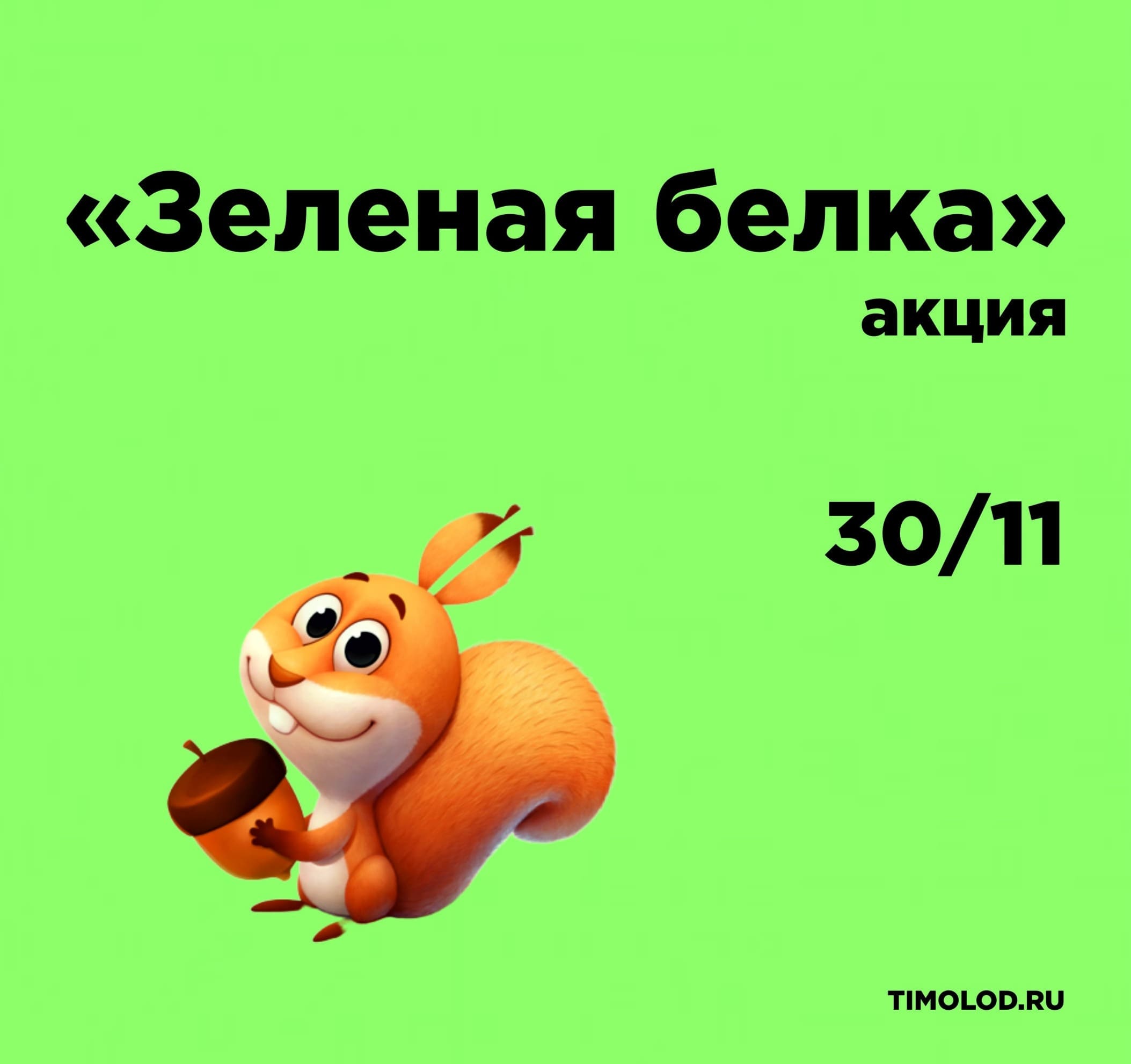 Зеленая белка