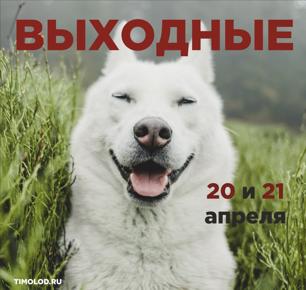 Выходные 20 24. Выходные 20 24