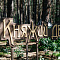 Фестиваль "Княжий двор" - 2022